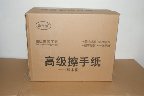 擦手紙 (13)